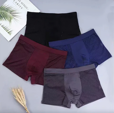 Max™ - Seidige Mesh-Boxershorts für Männer(2+2 GRATIS)